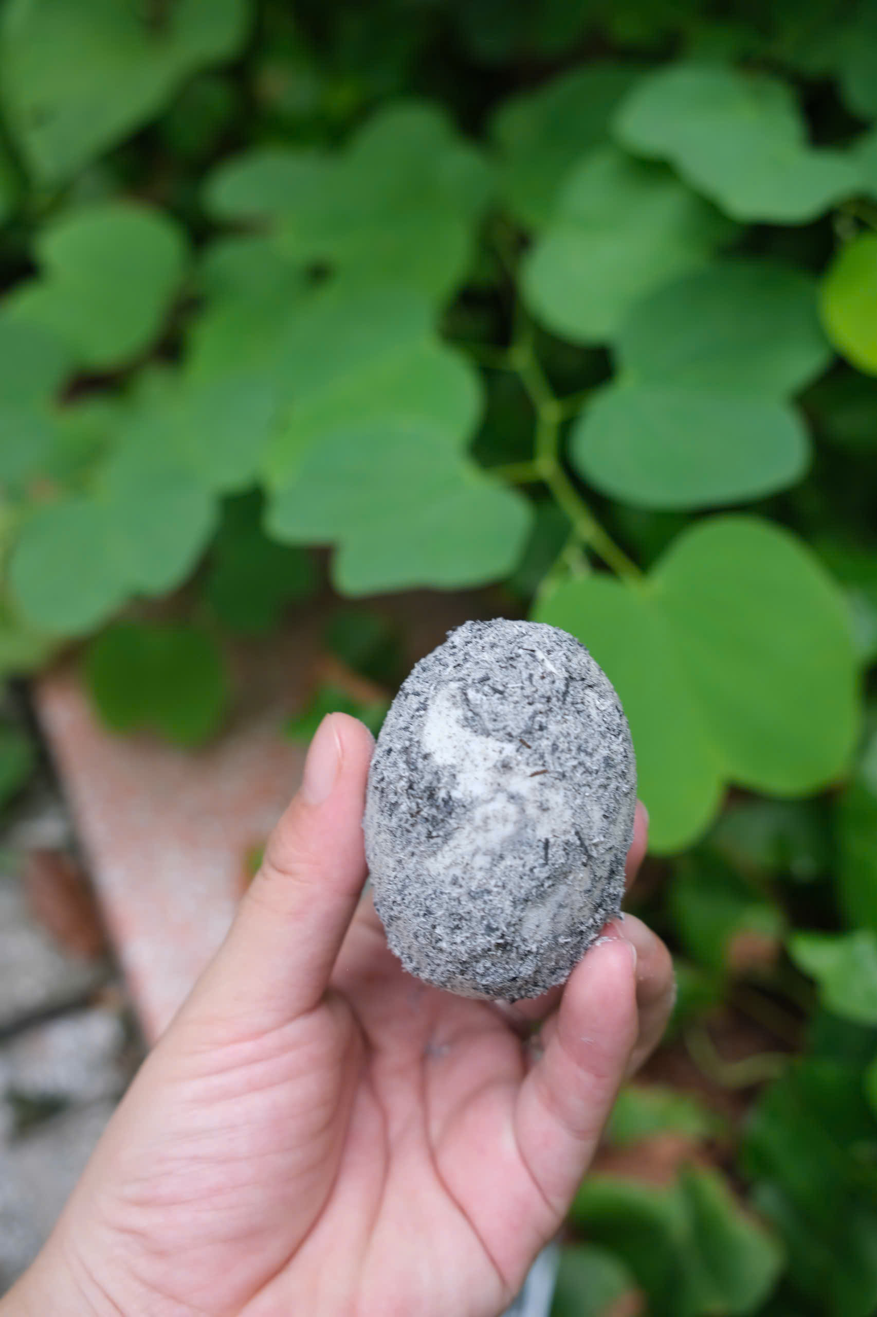trứng vịt muối thơm ngon